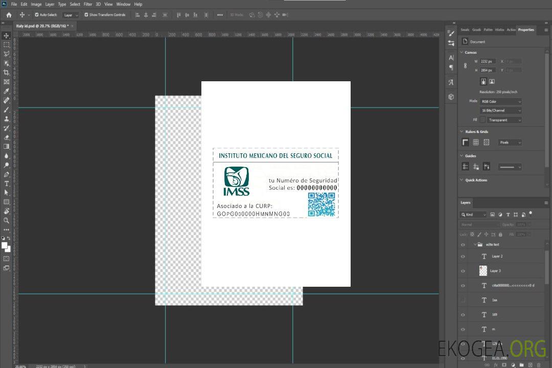 Carte NSS du Mexique template